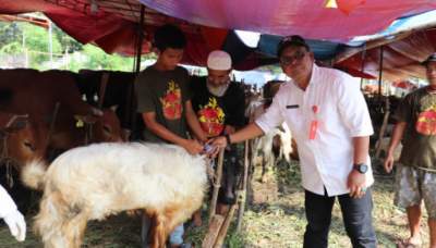 Pemkab Tangerang Siapkan Layanan Periksa Kesehatan Hewan Kurban