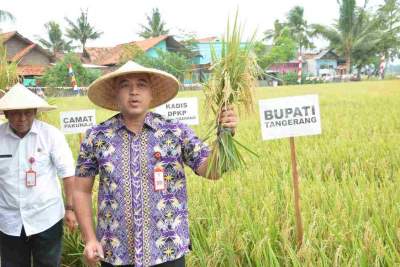 Foto : Bupati Tangerang A. Zaki Iskandar dan Kepala Dinas Pertanian dan Ketahanan Pangan Kabupaten Tangerang, Asep Jatnika 