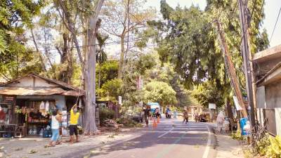 Antisipasi Pohon Tumbang, Disbudpar Kota Tangerang Siapkan Empat Tim untuk Penebangan dan Pemeliharaan