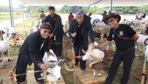 Domba Garut dan Ayam Kate Ramaikan Puskagro Di Rangkaian Hari Jadi 392 Kab. Tangerang