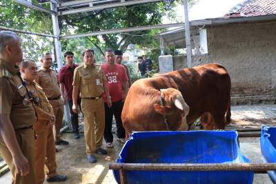 Sekda: Pemkab Tangerang Komitmen Untuk Pastikan Hewan Kurban Sehat Dan Layak