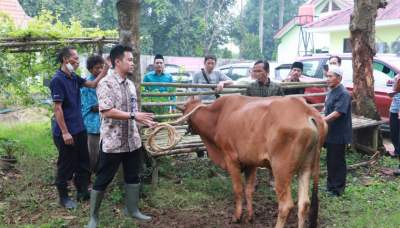 Kebutuhan Hewan Kurban Diprediksi Naik, DPKP Lakukan Pengawasan di 664 Titik