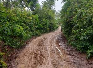 Jalan Menuju SMPN 3 Tenjo Butuh Adanya Bantuan