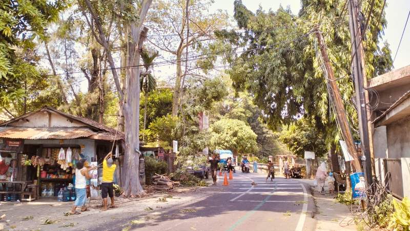 Antisipasi Pohon Tumbang, Disbudpar Kota Tangerang Siapkan Empat Tim untuk Penebangan dan Pemeliharaan