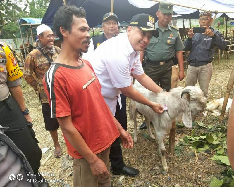 Pastikan Kelayakan Hewan Kurban, Zaki Tinjau Lapak Penjual