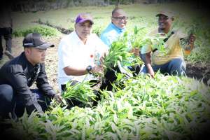 Bupati Zaki Tinjau Petani Sukses Asal Teluknaga