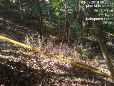 Warga Lebak Meragang Nyawa Dikebun