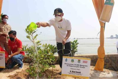 Wabup Tangerang Tanam 10.000 Mangrove di Pulau Cangkir