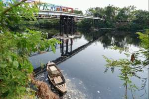 Ikan di Sungai Kali Baru Langka