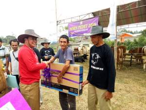 Kontes sapi Kabupaten Tangerang.