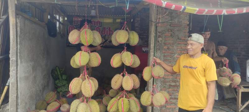 Pedagang Durian Khas Badui di Rangkasbitung Kewalahan Melayani Pembeli