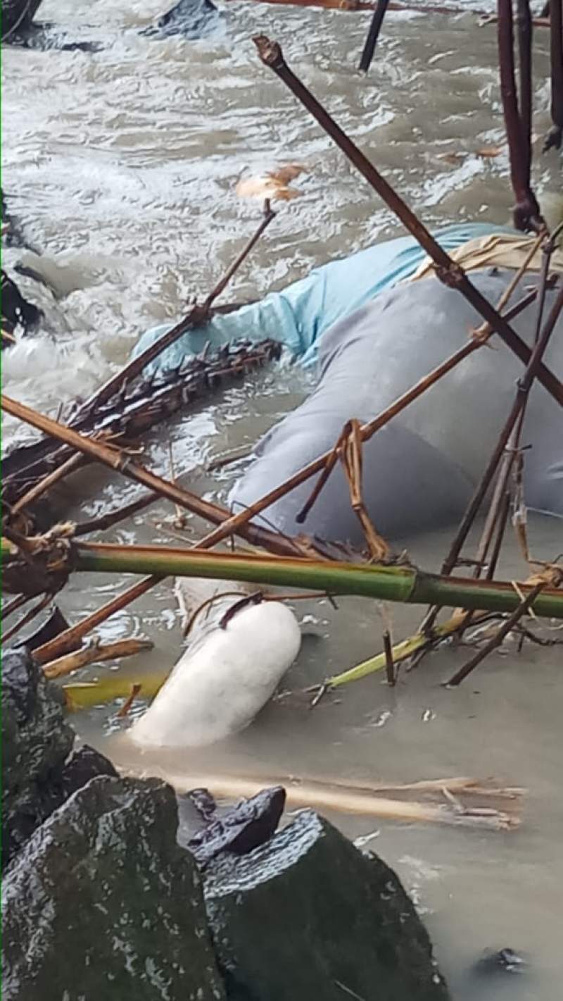 Mayat Pria Tak Dikenal, Mengapung di Pantai Palelangan Mauk