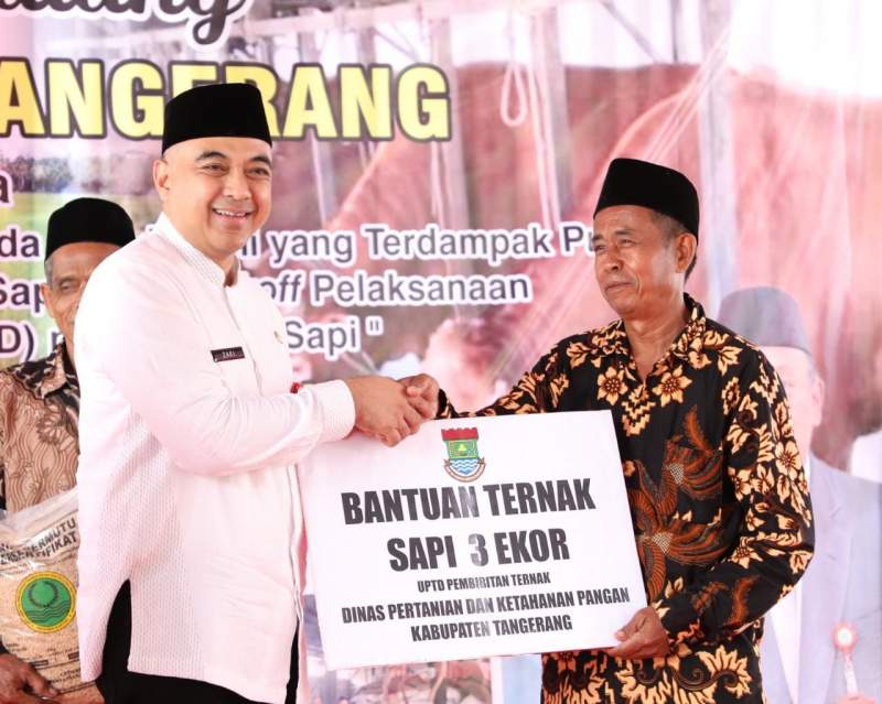 Bupati Zaki Serahkan Bantuan Benih Padi, Pupuk Dan Sapi