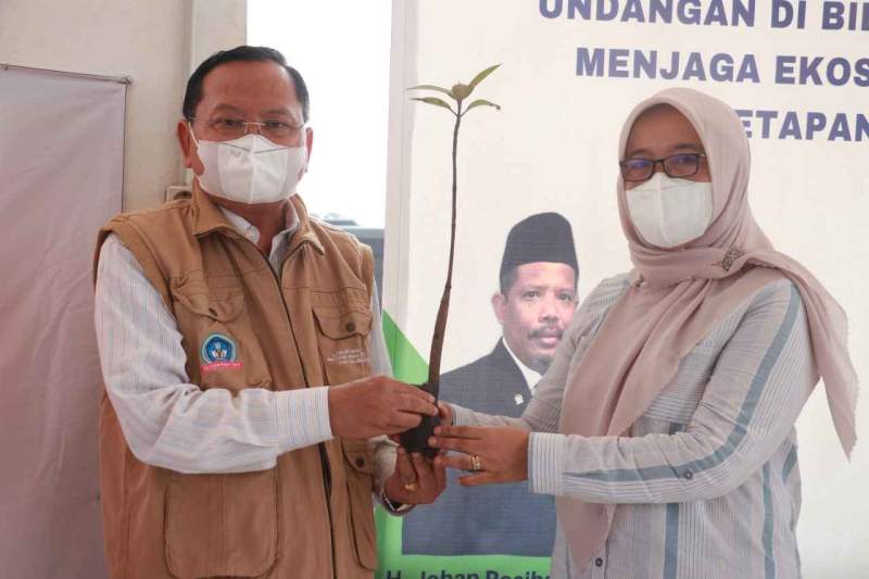 Wujud Pengabdian kepada Masyarakat, Pemkab Tangerang bersama Unpam Tanam 1.000 Bibit Mangrove di Ketapang Urban Akuakultur