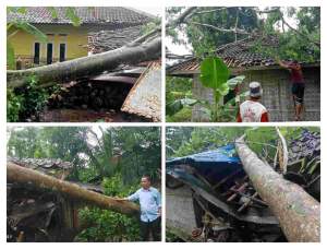 Bencana Alam di Cianjur, 7 Rumah Rusak Akibat Angin Kencang dan Hujan Deras