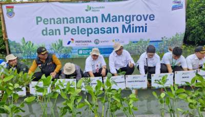 Pemkab Tangerang Tanam Mangrove dan Tebar Mimi di Ketapang Urban Aquaculture